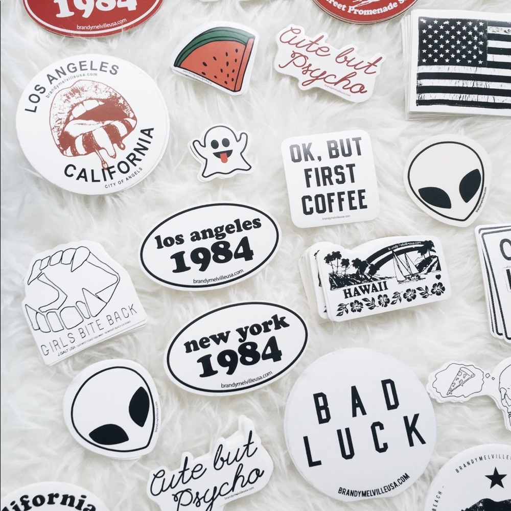 Brandy Melville stickers (100)
